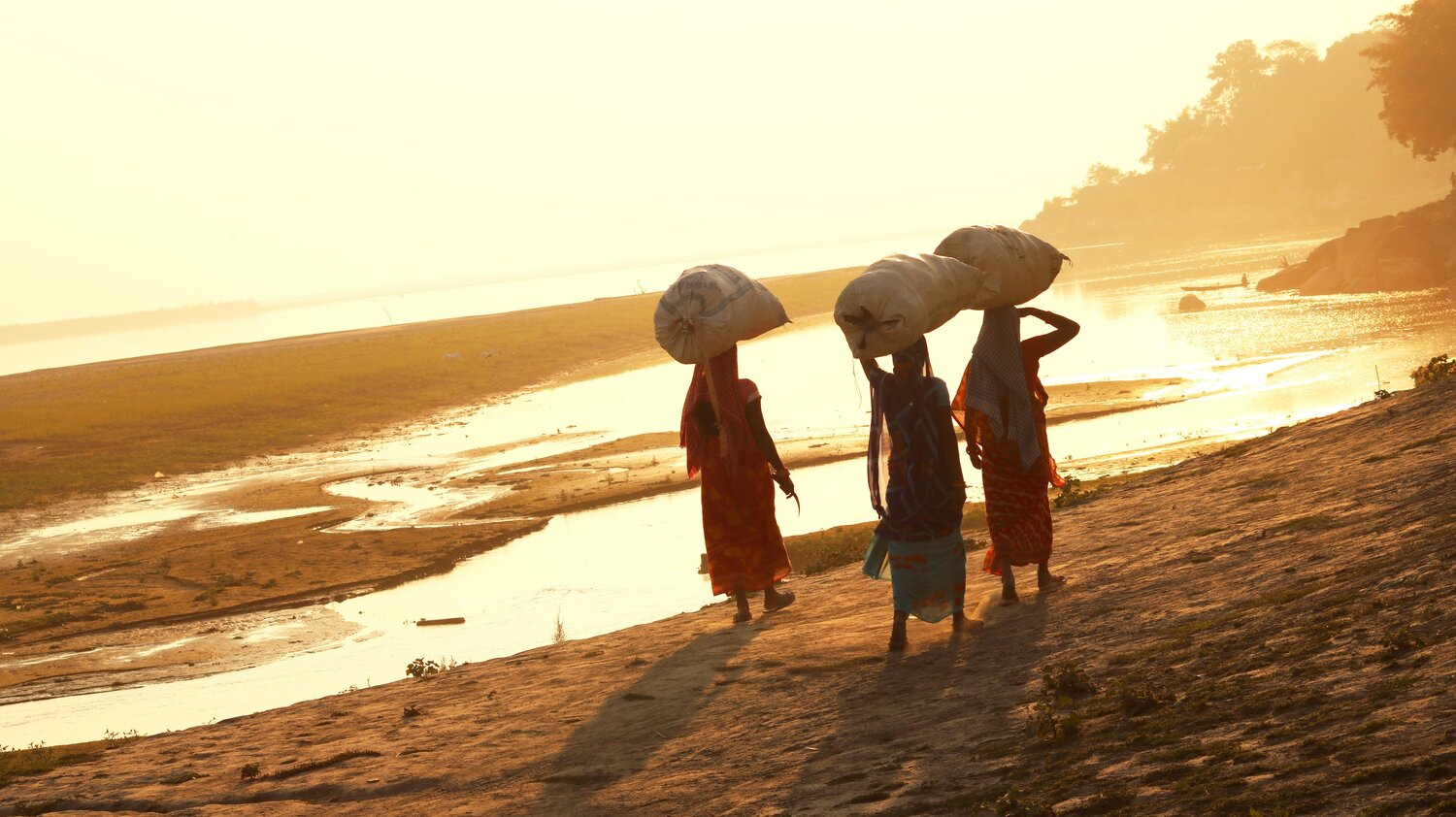 Celebrating International Women’s Day 2018