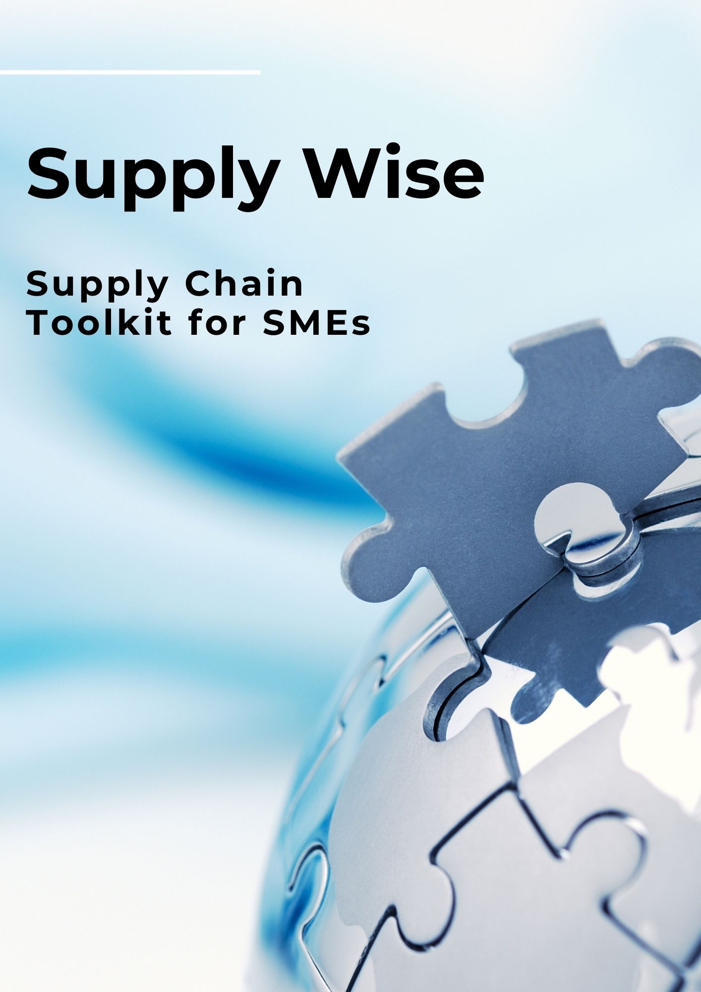 Supply Wise: Your Essential Guide to Supply Chain Success